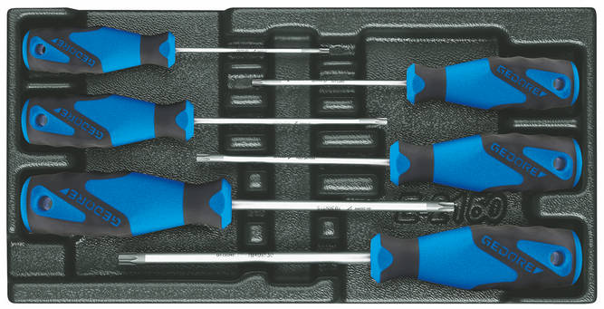 TORX®带孔螺丝刀套装 装入1/3 ES工具模块